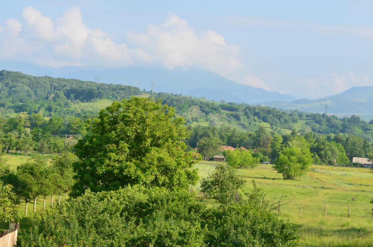 Pensiunea Koruna Poenari Exterior foto