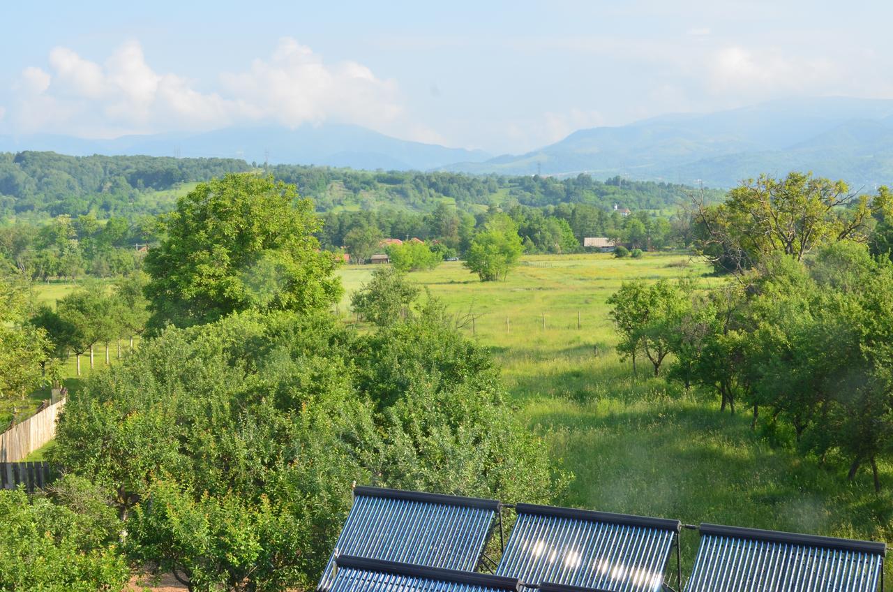 Pensiunea Koruna Poenari Exterior foto