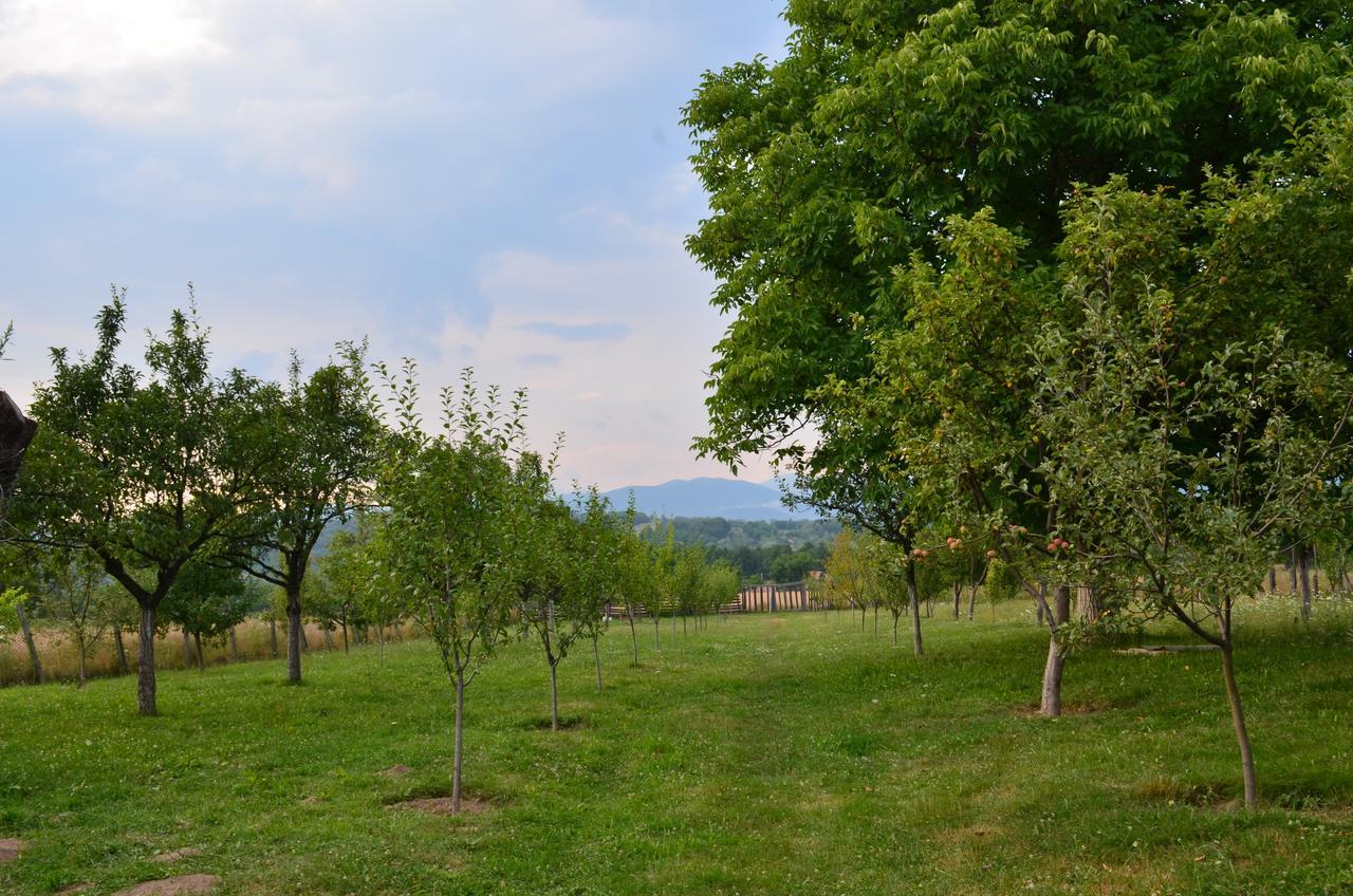 Pensiunea Koruna Poenari Exterior foto